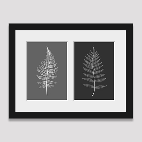 Picture frames for 2 photos