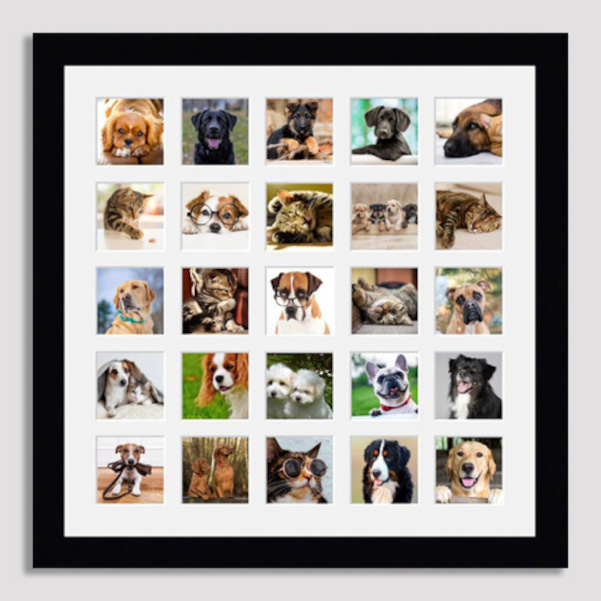 Picture frames for 25 photos