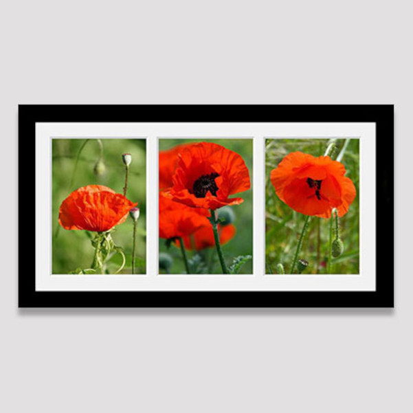 Picture frames for 3 photos