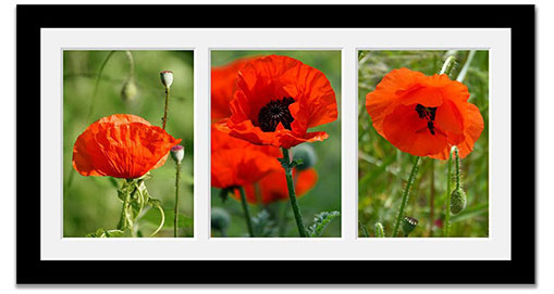 Triple photo frame to hold 3 photos