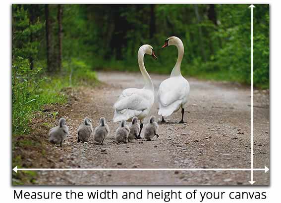 How to measure your artwork for a canvas floating frame