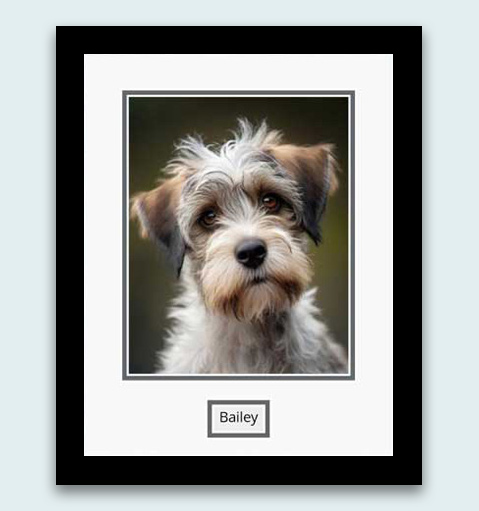 Photos printed and framed online with easy upload