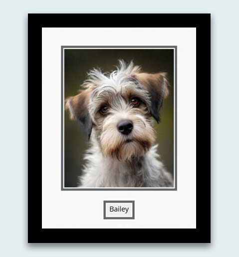 Photos printed and framed online