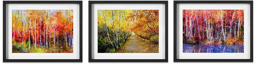 picture mounts with frames